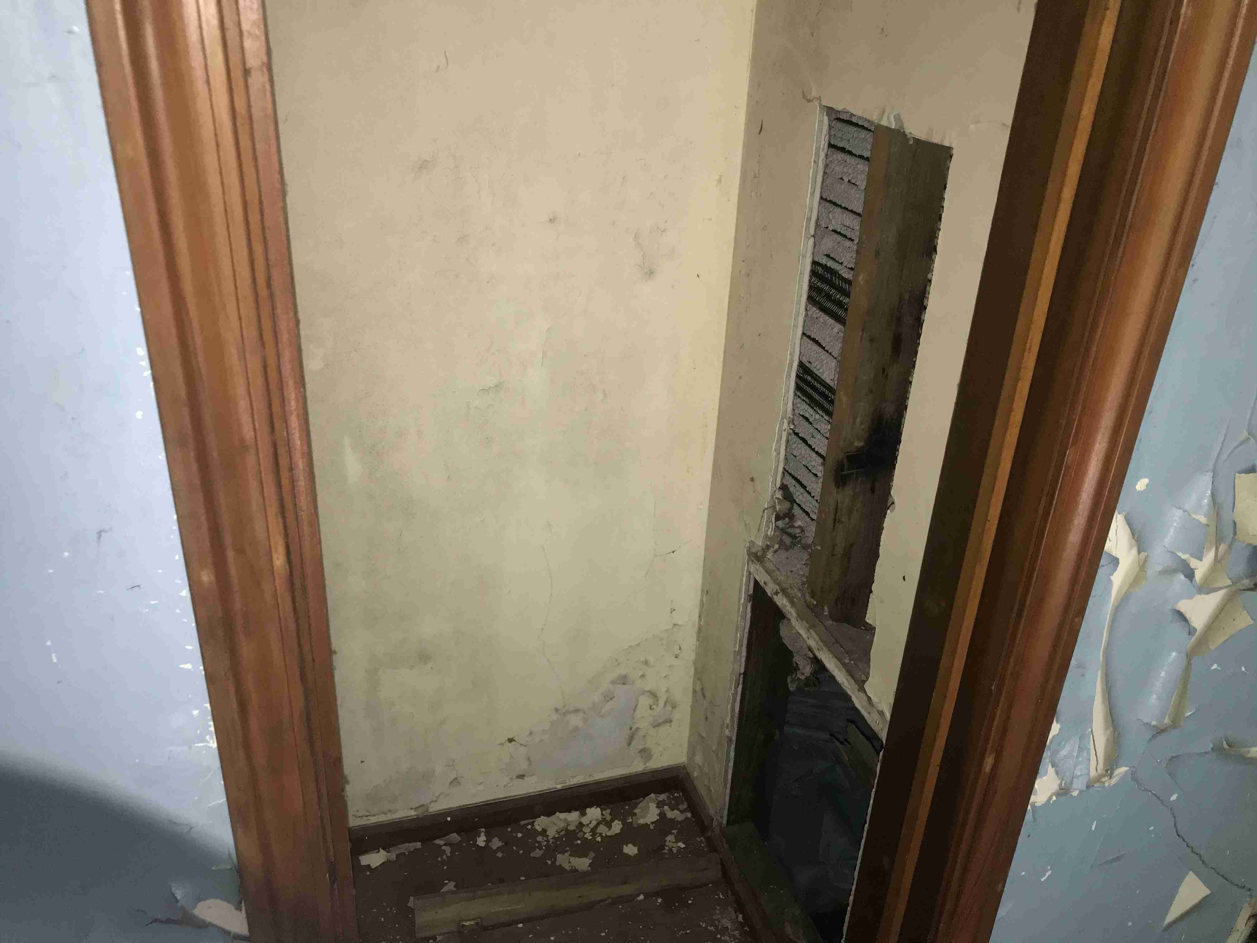 Photo Aug 20, 1 31 01 PM.jpg